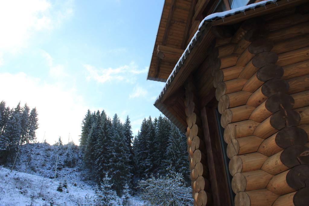 Sadyba Kazkove Dzherelo Verkhovyna Kamer foto