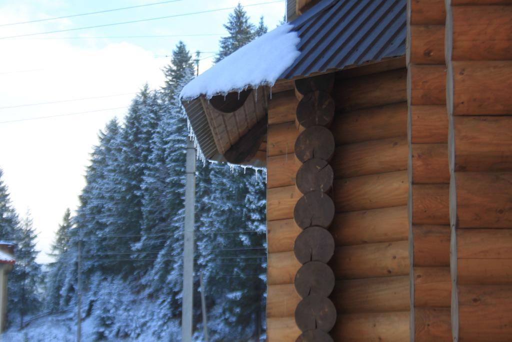Sadyba Kazkove Dzherelo Verkhovyna Buitenkant foto
