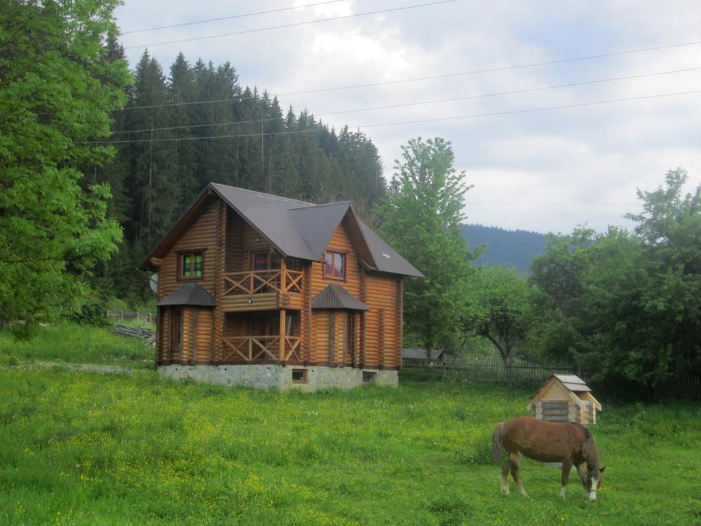 Sadyba Kazkove Dzherelo Verkhovyna Buitenkant foto