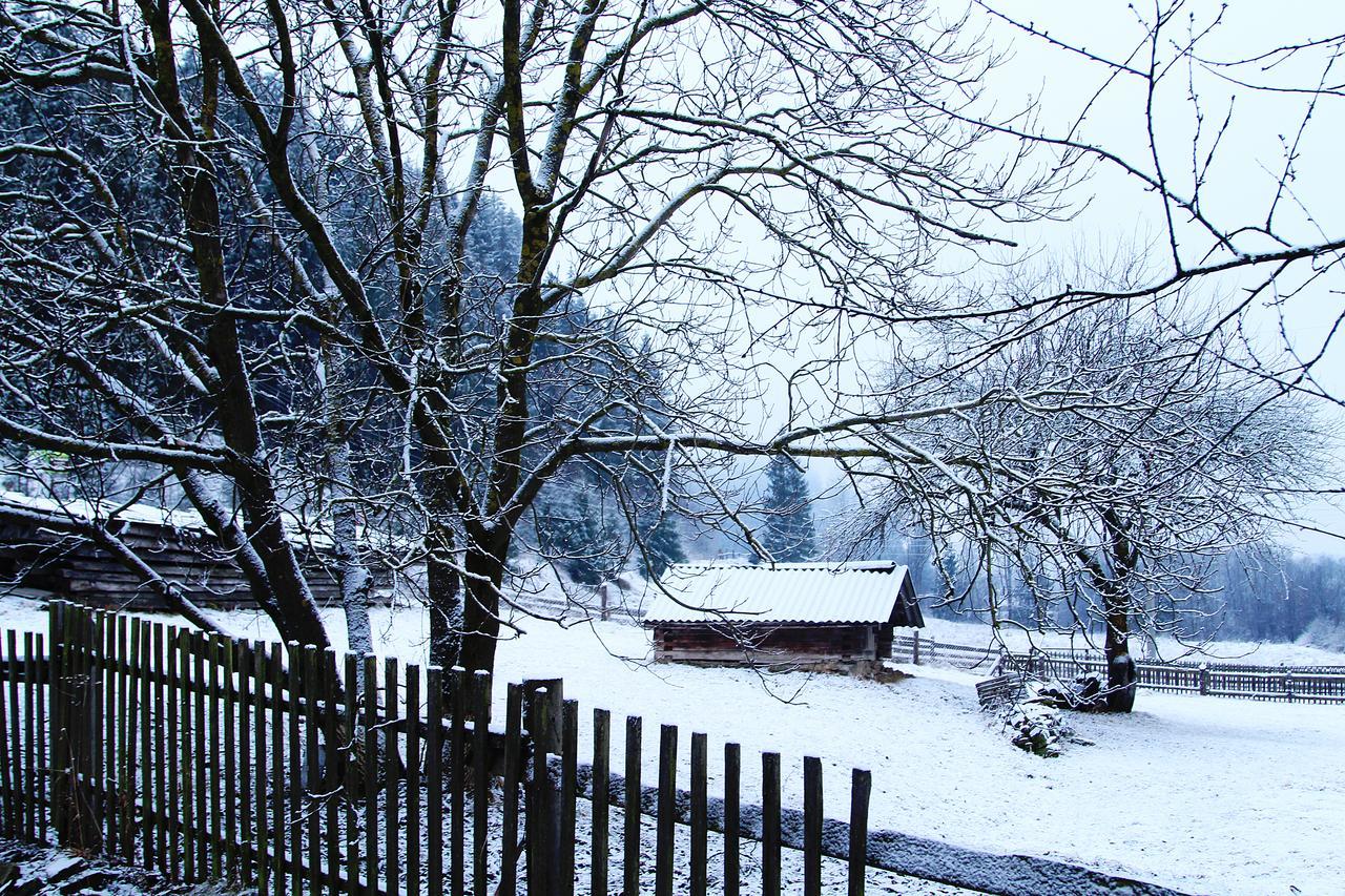 Sadyba Kazkove Dzherelo Verkhovyna Buitenkant foto